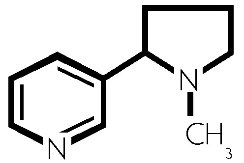 Chemischer-Aufbau-von-Nikotin