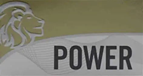 Power-Gold-Logo