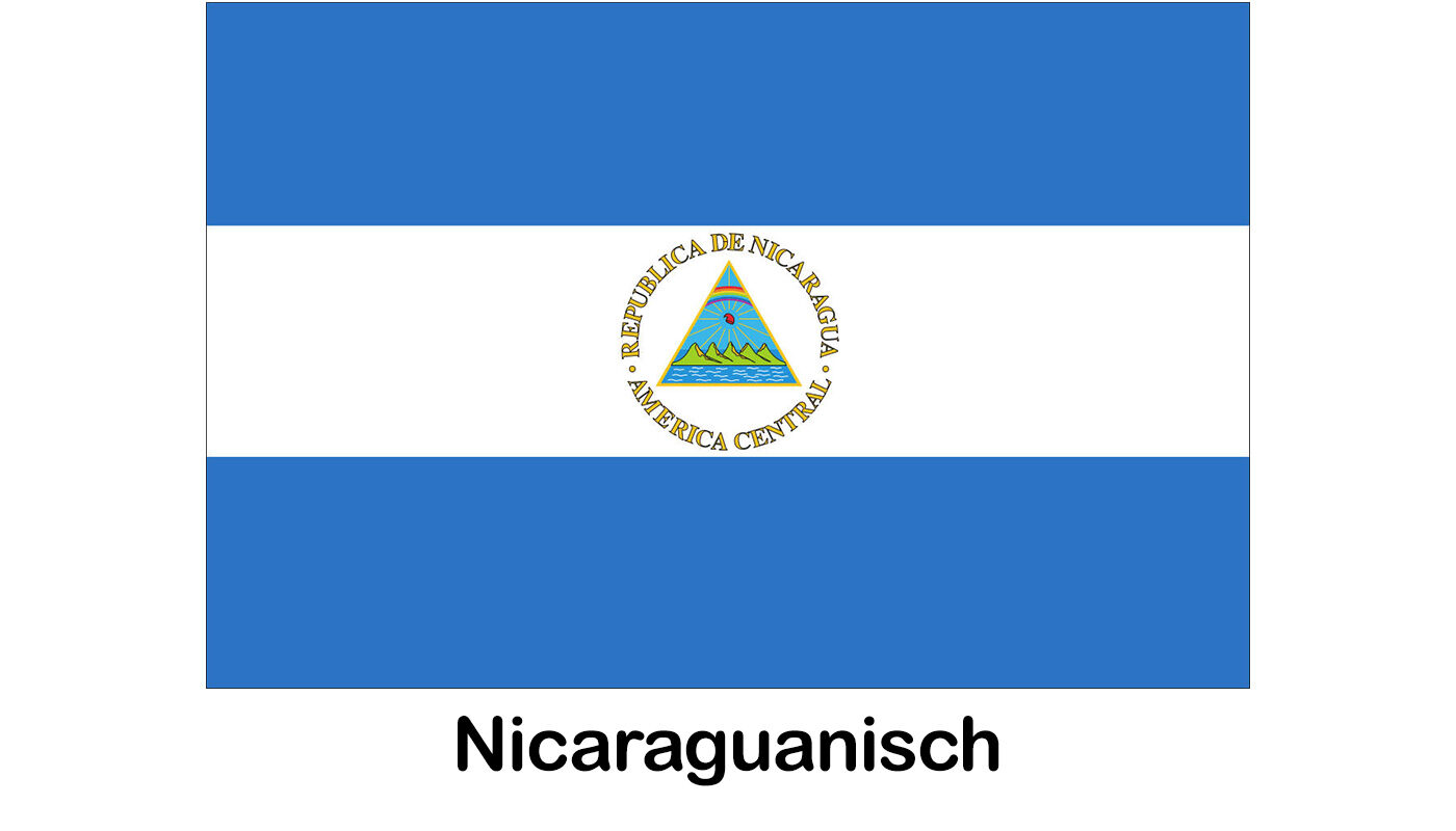 nicasguia-flagge