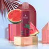 Lafume-Aurora-Watermelon