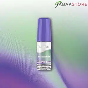 Flerbar-Liquid-Blueberry-10mg-Nikotin