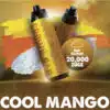 Al-Fakher-mit-20000--Zuegen-Cool-Mango