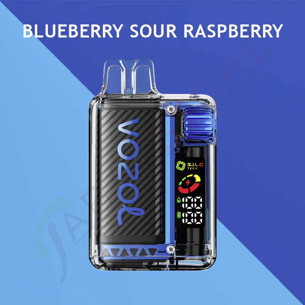 Vozol-Vista-15000-Zuege-Blueberry-Sour-Raspberry