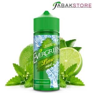 evergreen-aroma-lime-mint