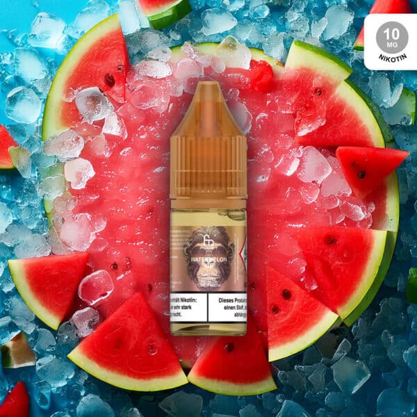 rundm-liquid-Watermelon-ice-10mg