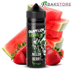 Dampflion-Longfill-Aroma-10ml-Intense-Melon-berry